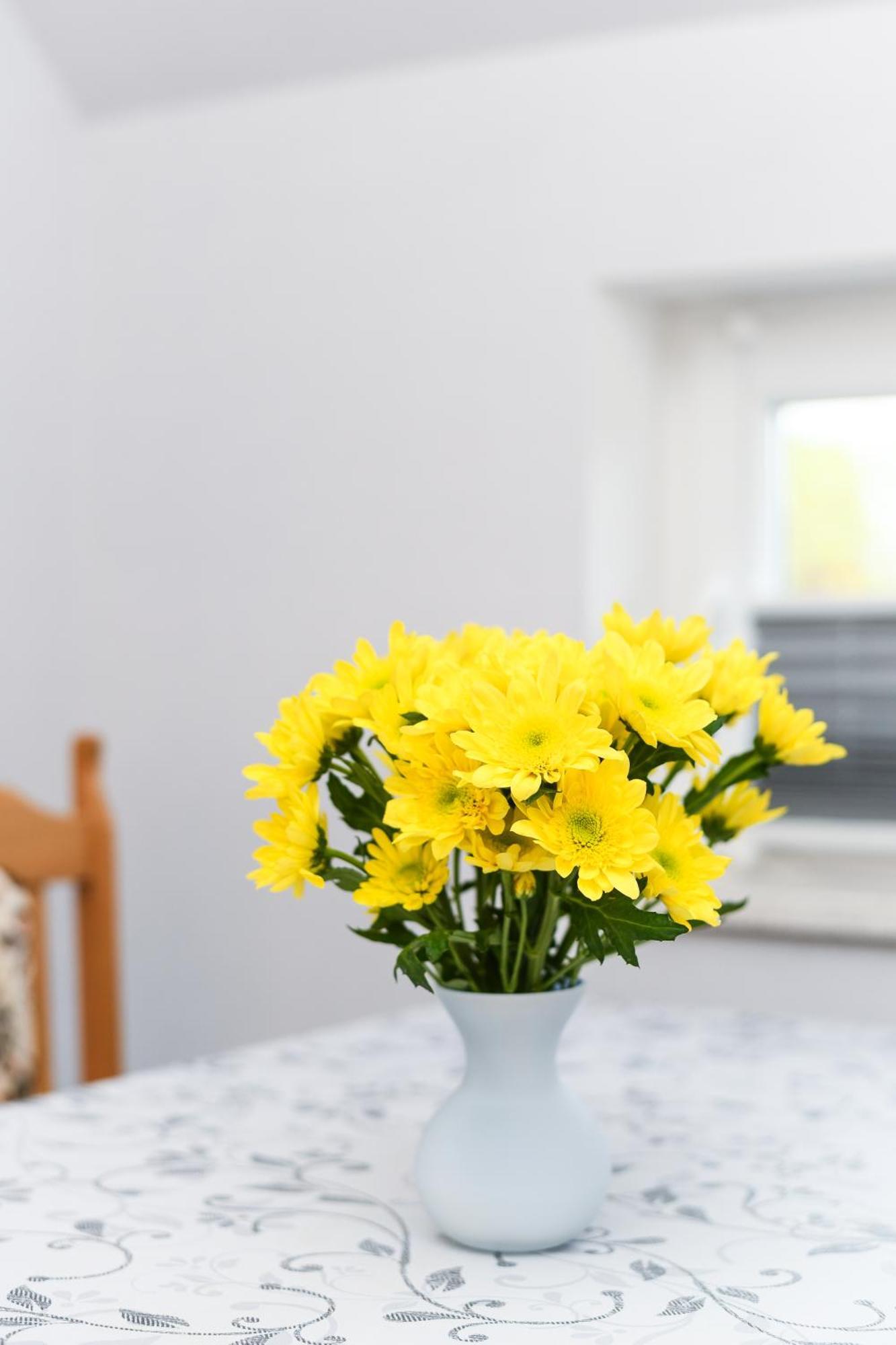Ferienwohnung Nordmoor Blomberg  외부 사진